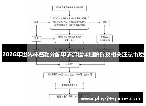 2026年世界杯名额分配申请流程详细解析及相关注意事项