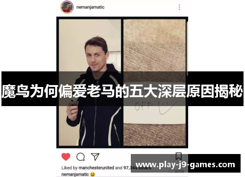 魔鸟为何偏爱老马的五大深层原因揭秘